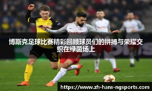 南宫体育